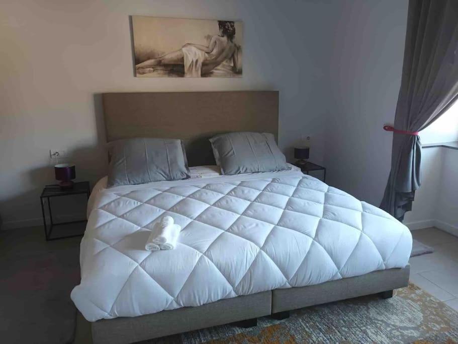 Appartamento Confortevole Deinze Exteriér fotografie